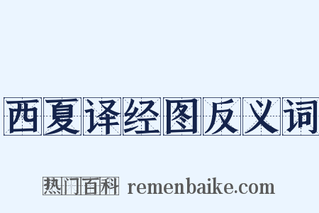 西夏译经图反义词是什么意思的图片